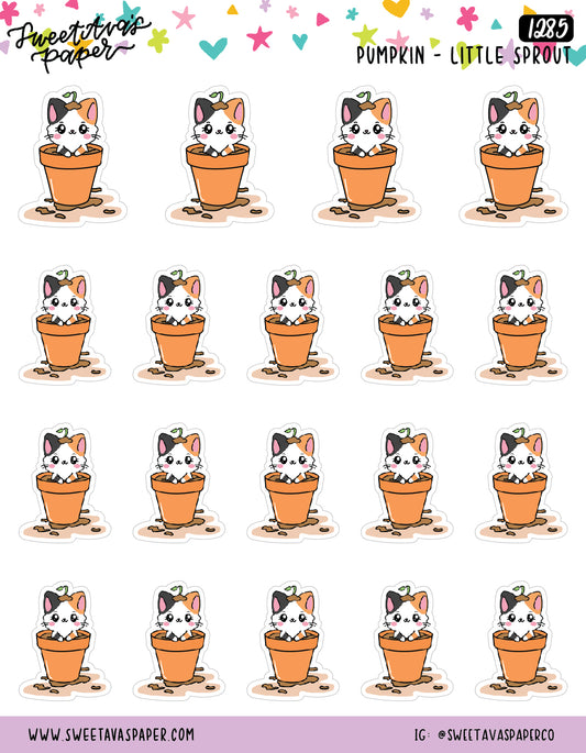 Plants Planner Stickers - Pumpkin The Cat - [1285]