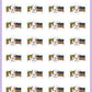 ICON SIZE - Farmers Market Planner Stickers - Snowball The Cat - [340]